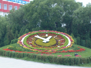 Reloj Floral en Parque Industrial
